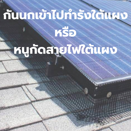 ติดตั้งโซล่าเซลล์ แล้วอย่าลืมป้องกันเพื่อยืดอายุการใช้งานด้วยนะ!!